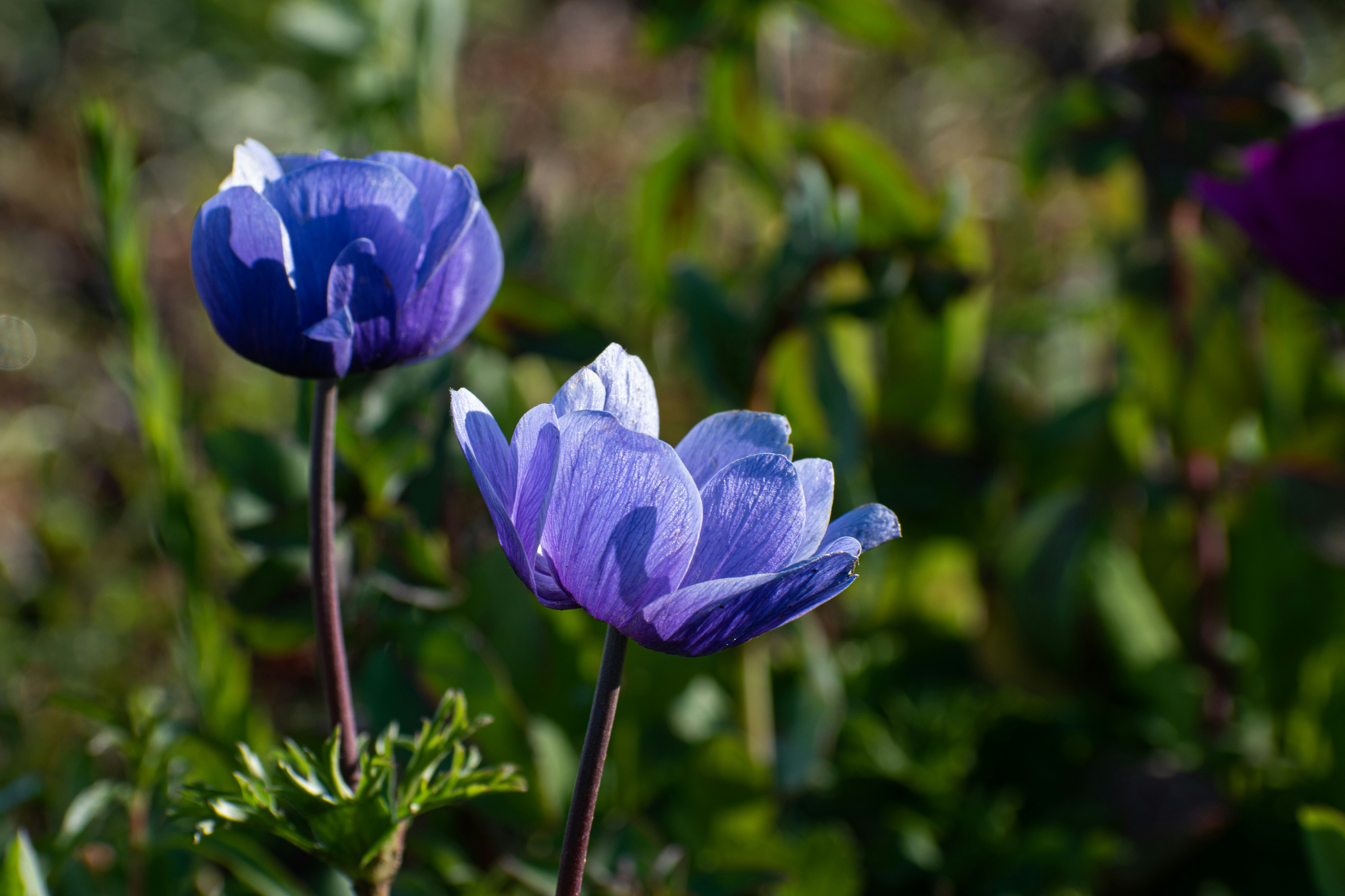 Photo by elisastonephotography