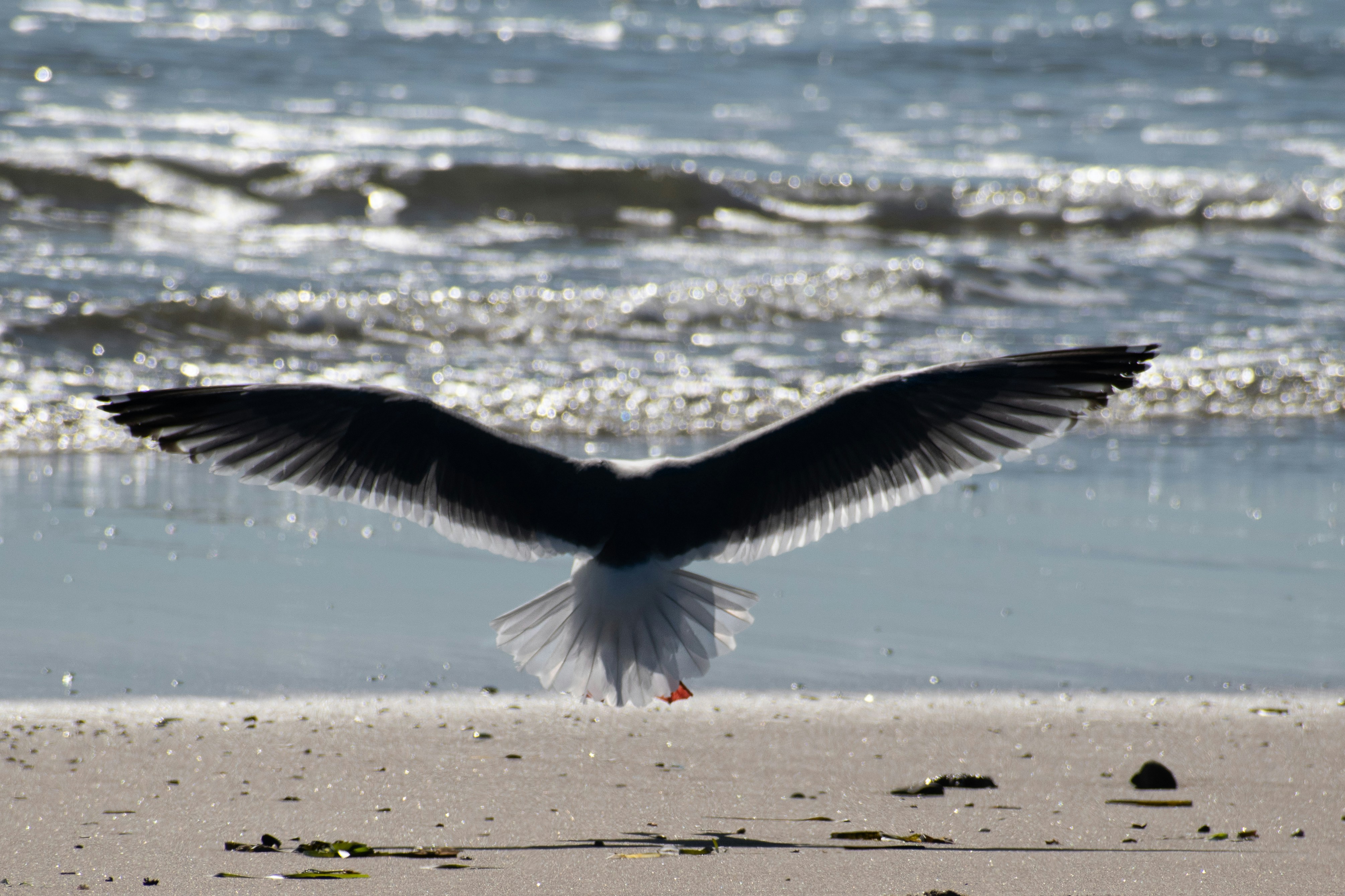 Photo by elisastonephotography