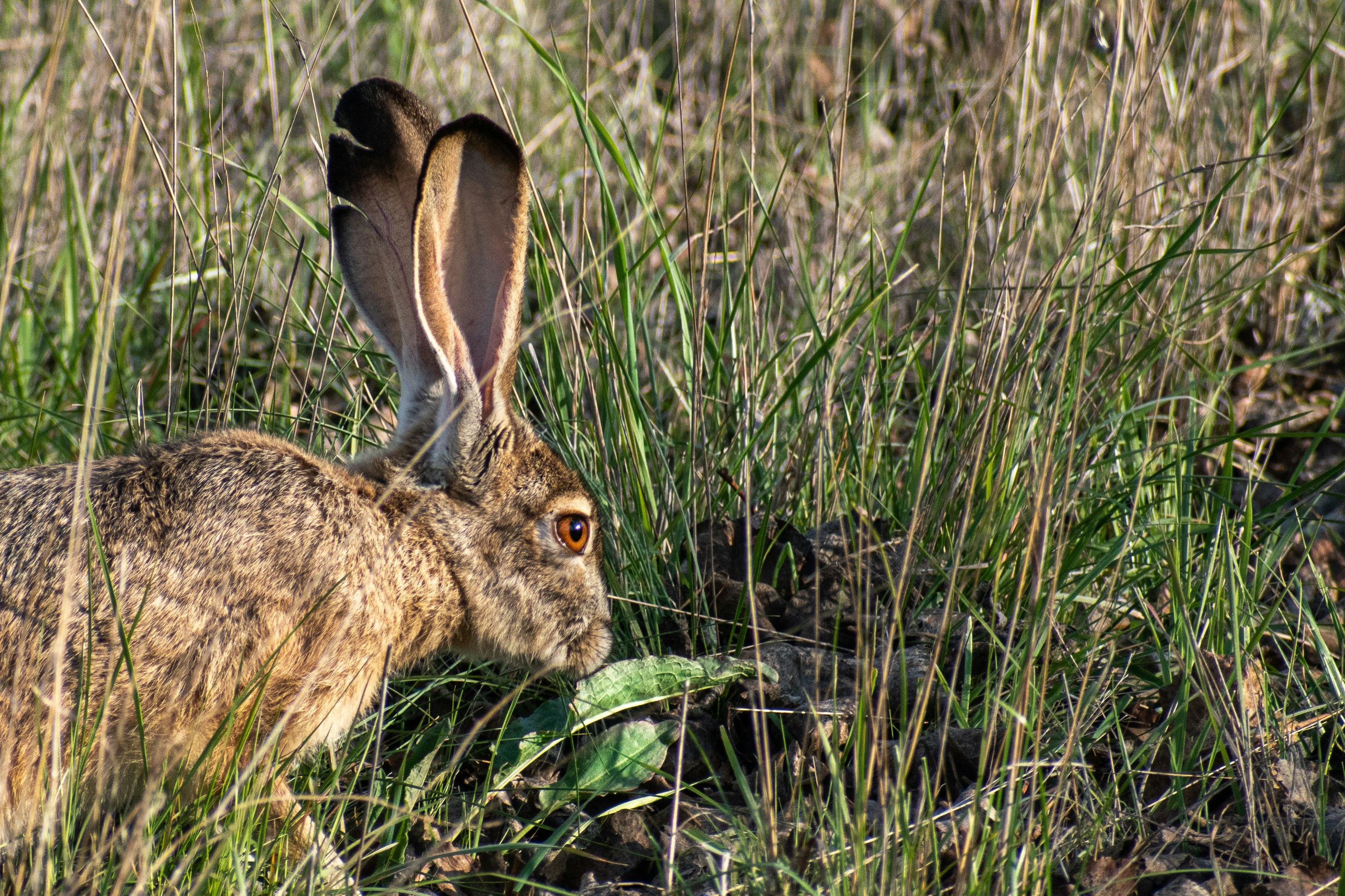 Photo by elisastonephotography