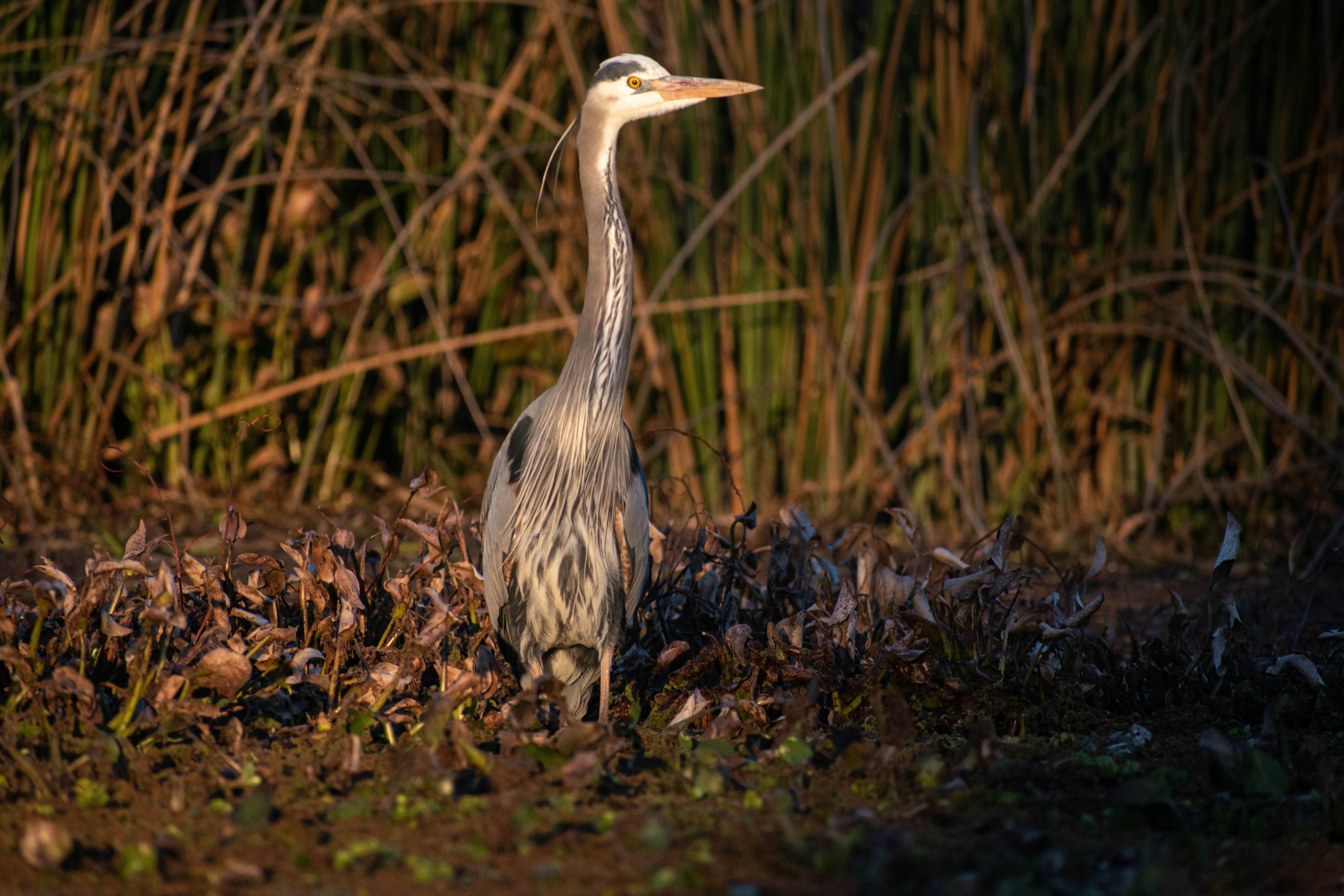 Photo by elisastonephotography