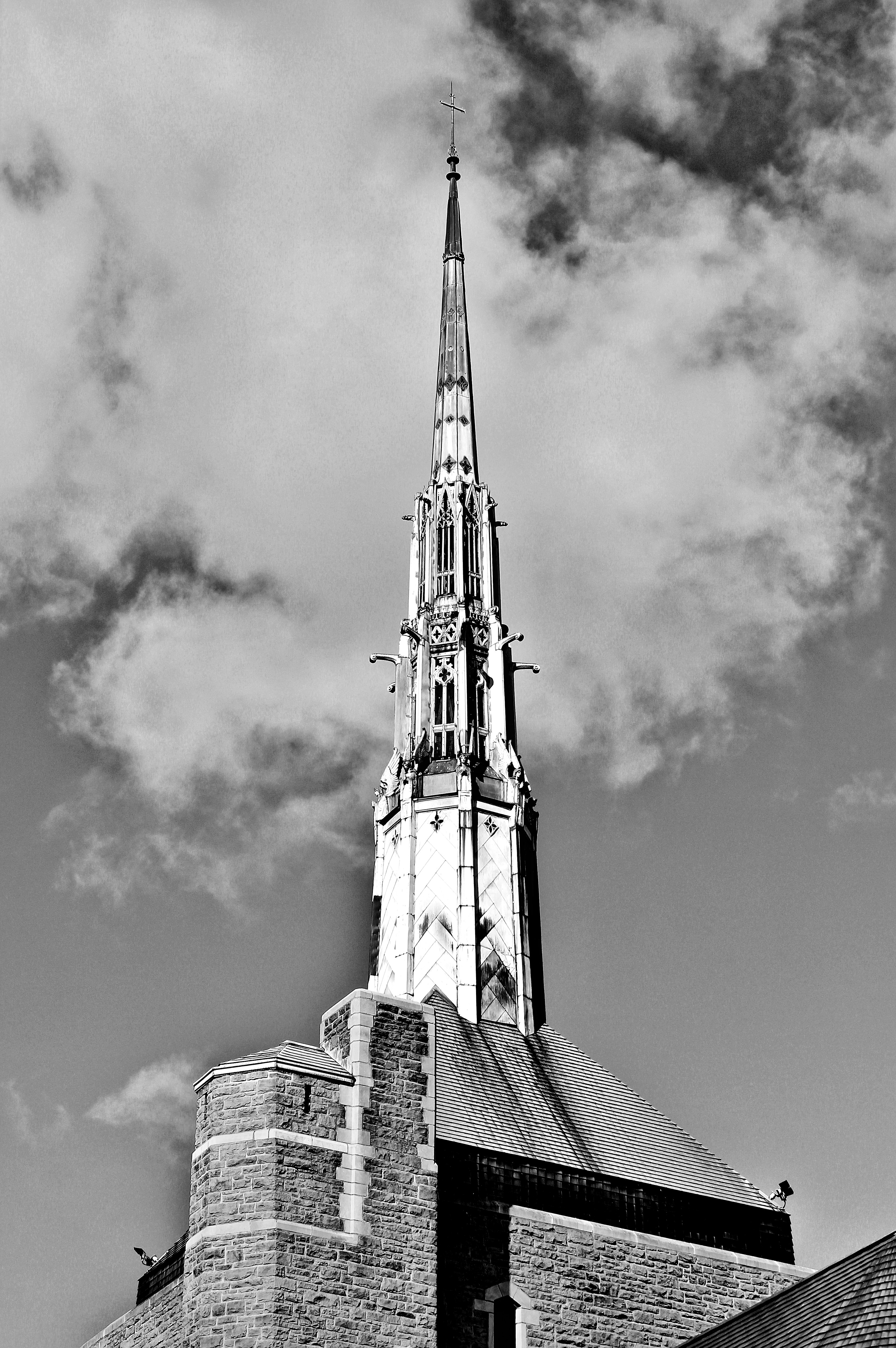 Photo by mrgreatheart