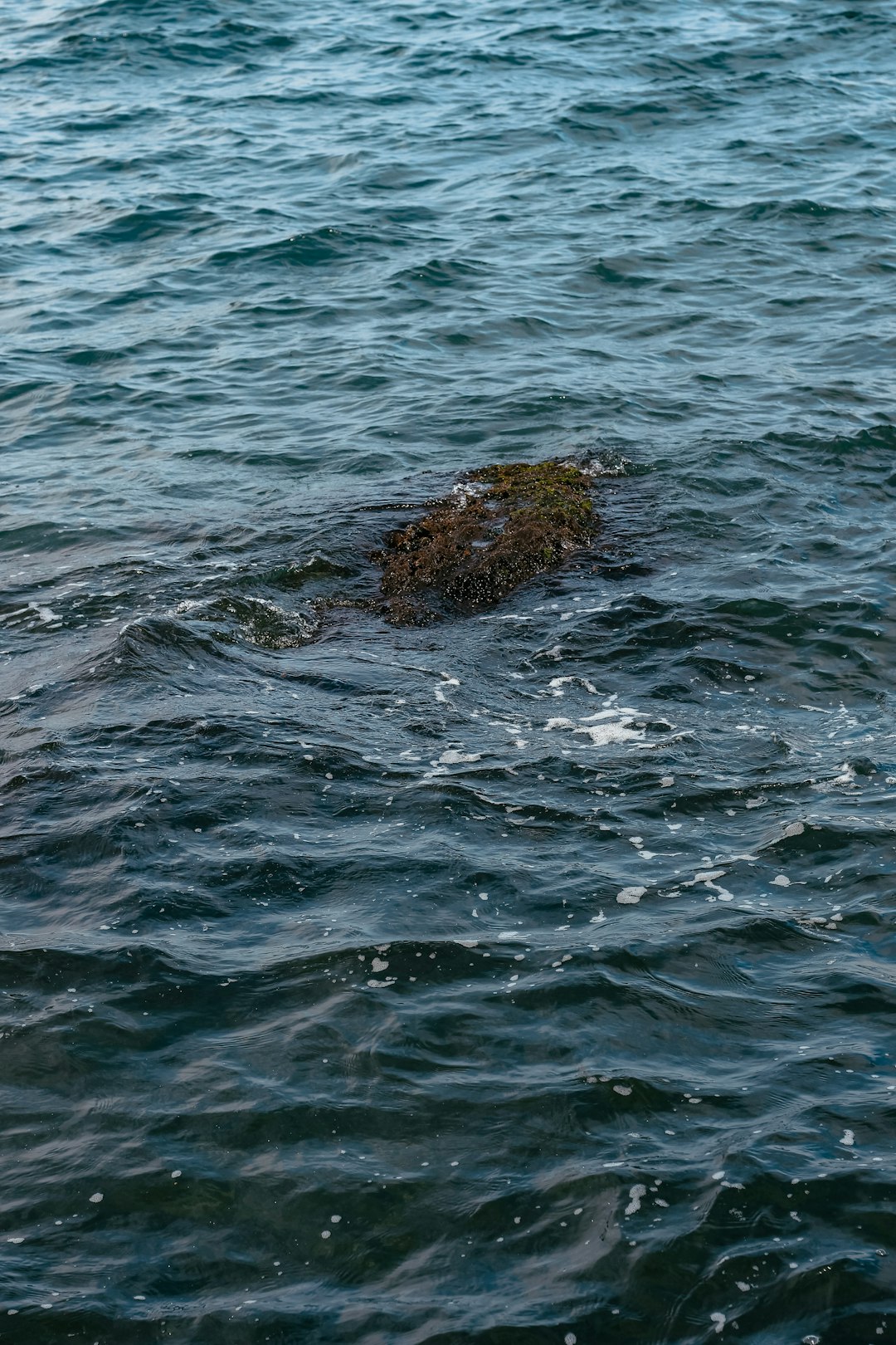 brown rock on body of water during daytime