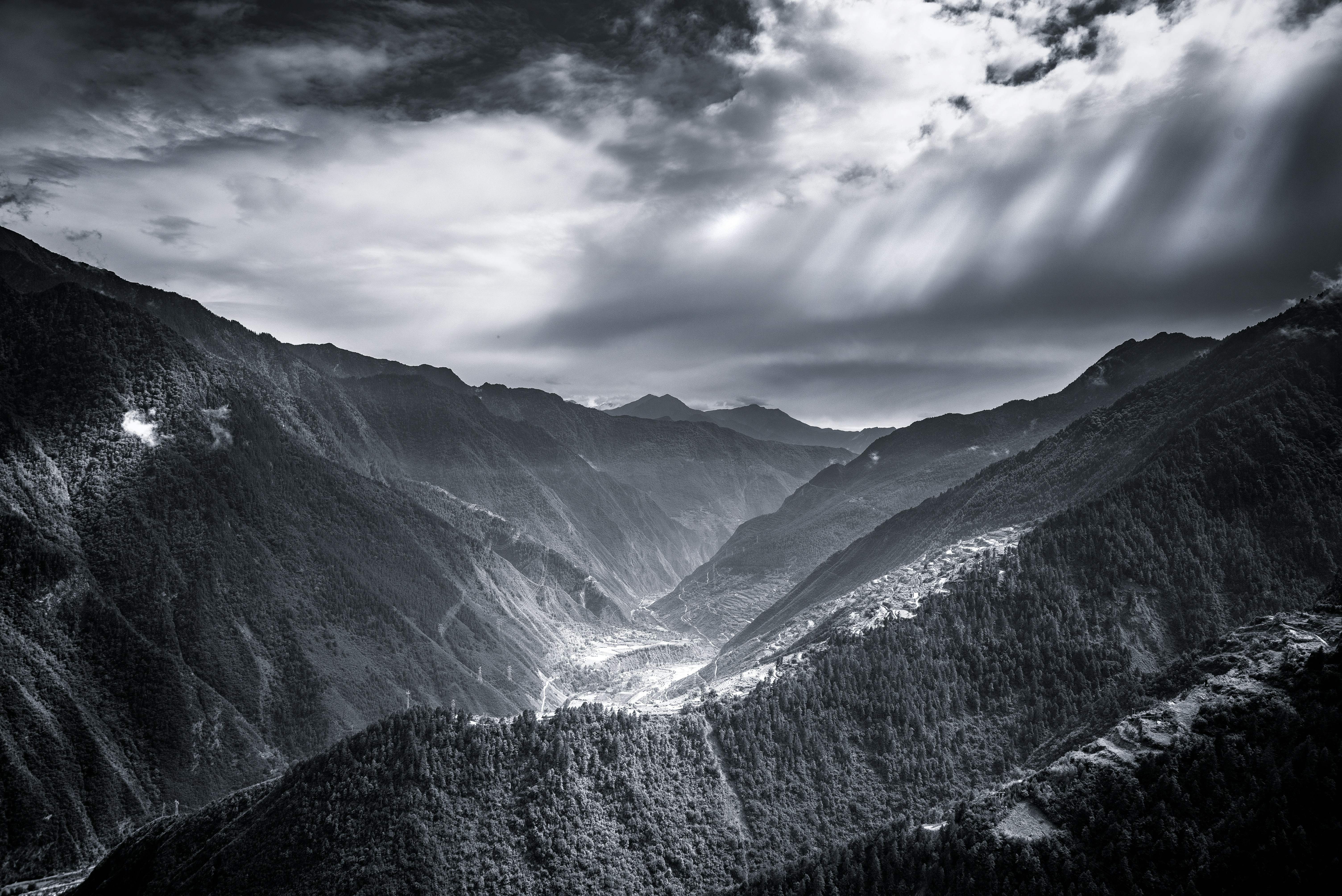 Photo by vincent_tint