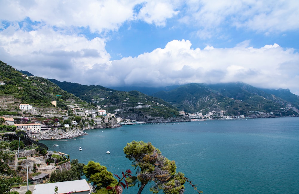 green trees near body of water under white clouds and blue sky during daytime