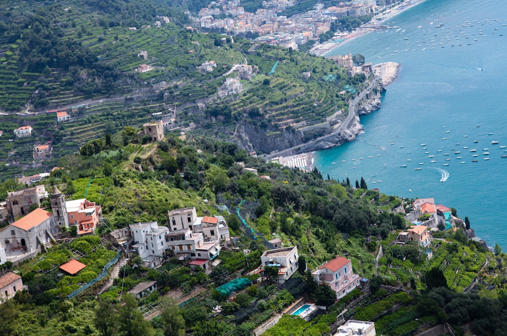 aerial view of city near body of water during daytime