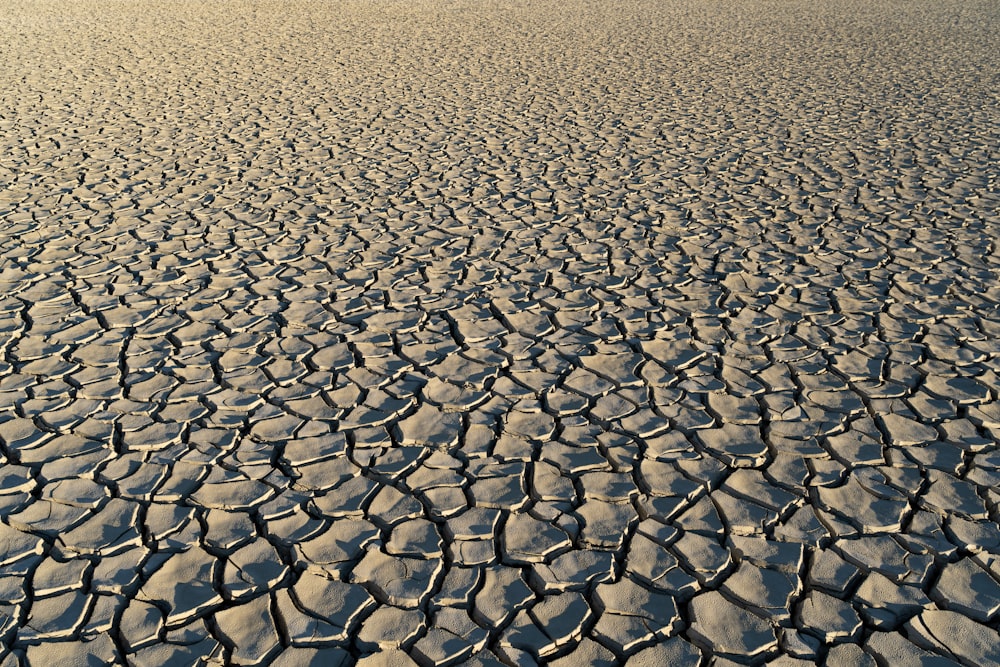 black metal chain link fence on brown sand