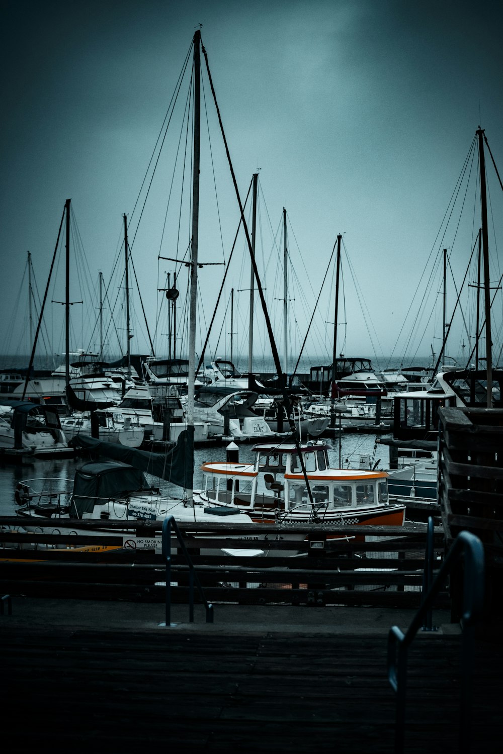 Weiße und blaue Boote am Dock tagsüber