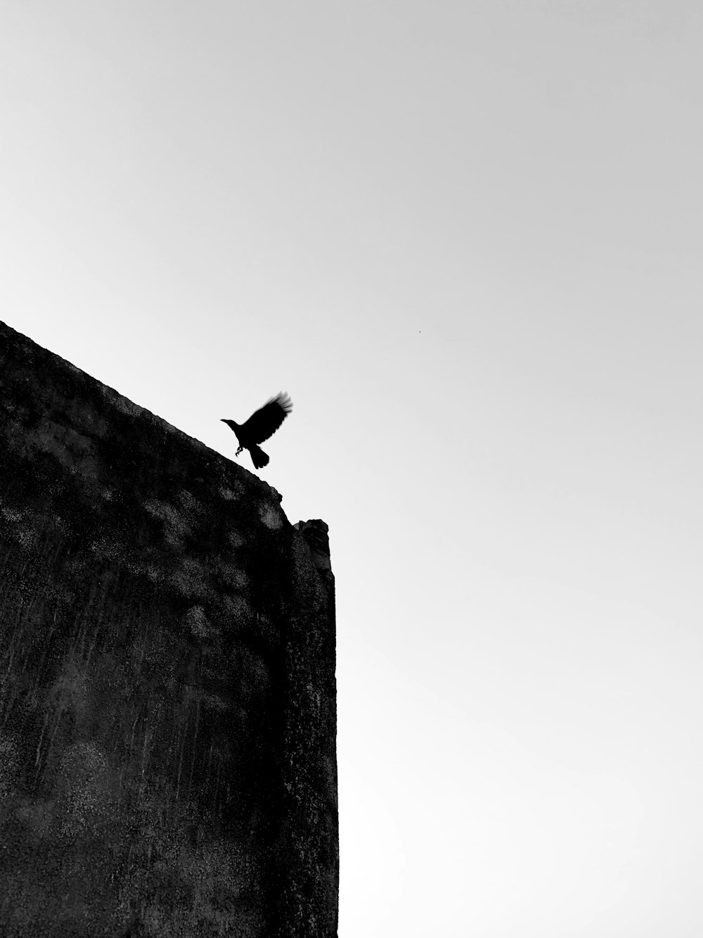 A flying crow about to sit on top of a building