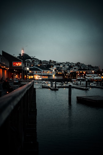 body of water near buildings during night time