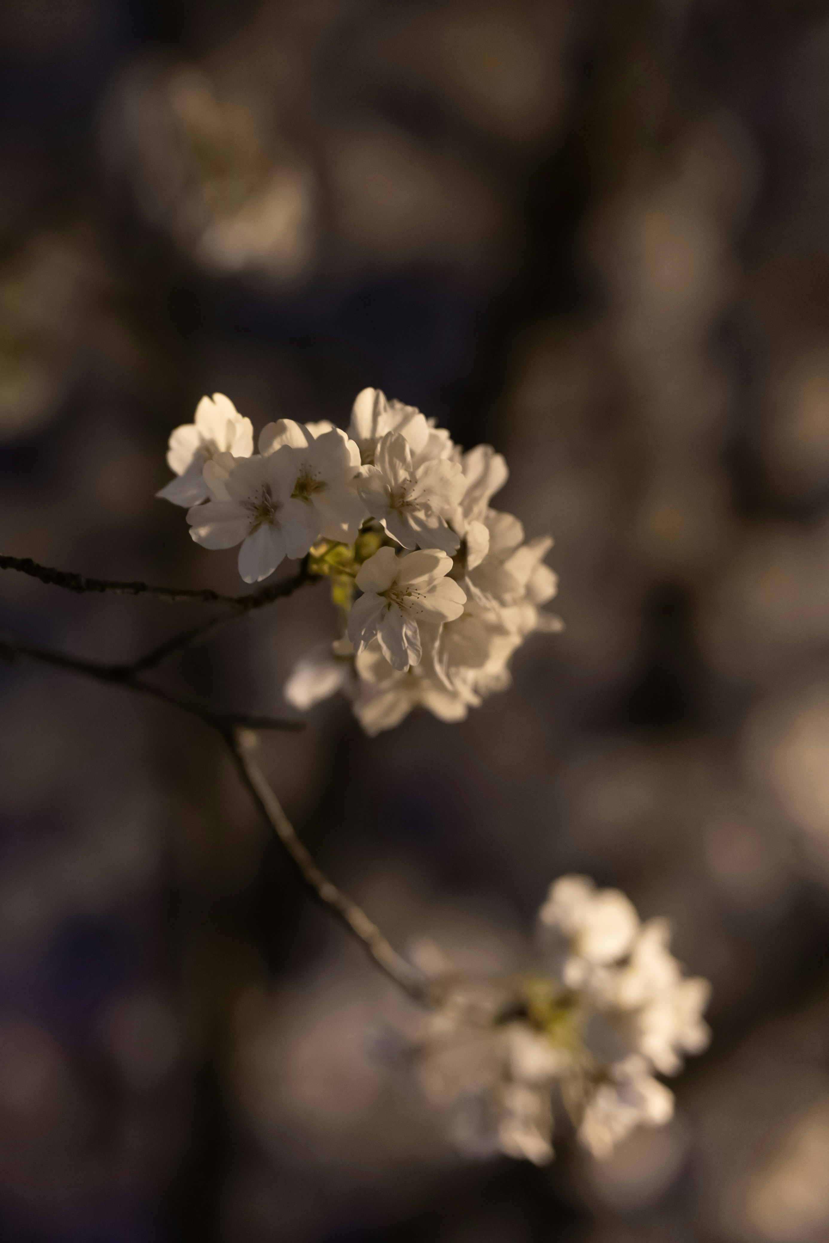 Photo by dongcheng