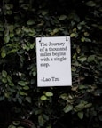 white and black quote board on green plants the journey of a thousand miles begins a single step