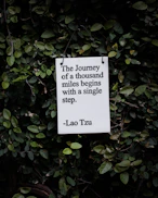 white and black quote board on green plants