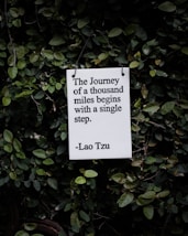 white and black quote board on green plants