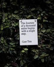 white and black quote board on green plants