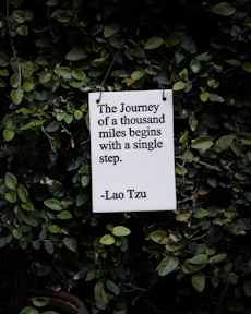 white and black quote board on green plants the journey of a thousand miles begins a single step
