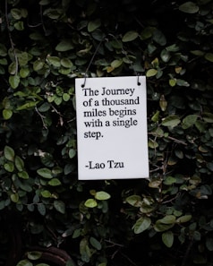 white and black quote board on green plants