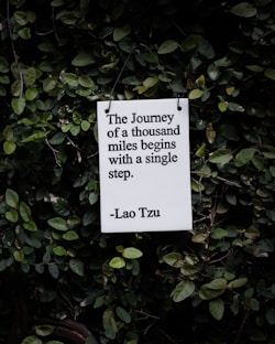 white and black quote board on green plants