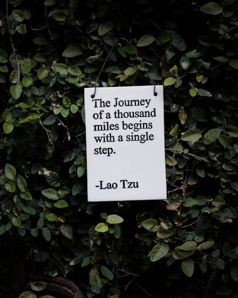 white and black quote board on green plants,promo for wazflex.com  blog
