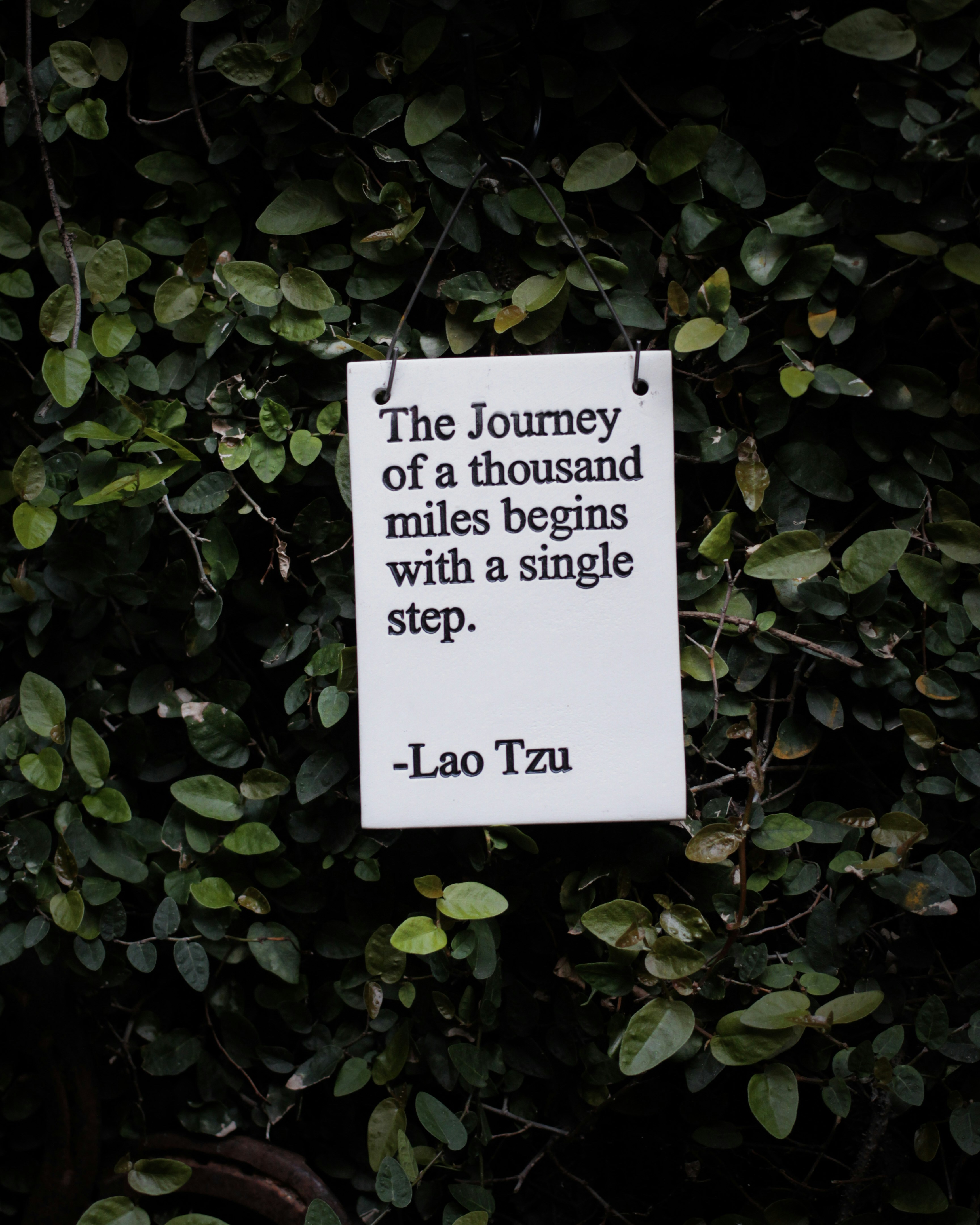 sign with Lao Tzu quote