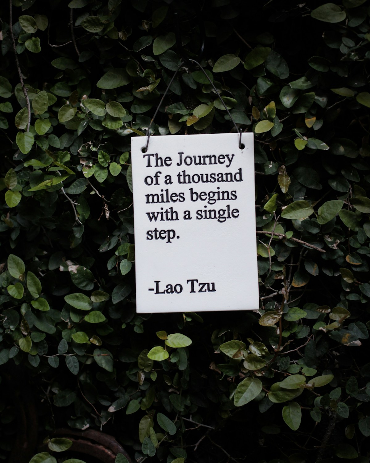 Descriptive text for the image