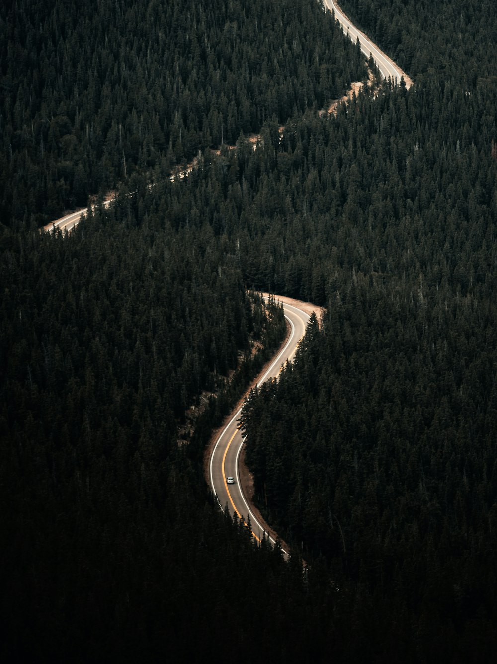 aerial view of green trees during daytime