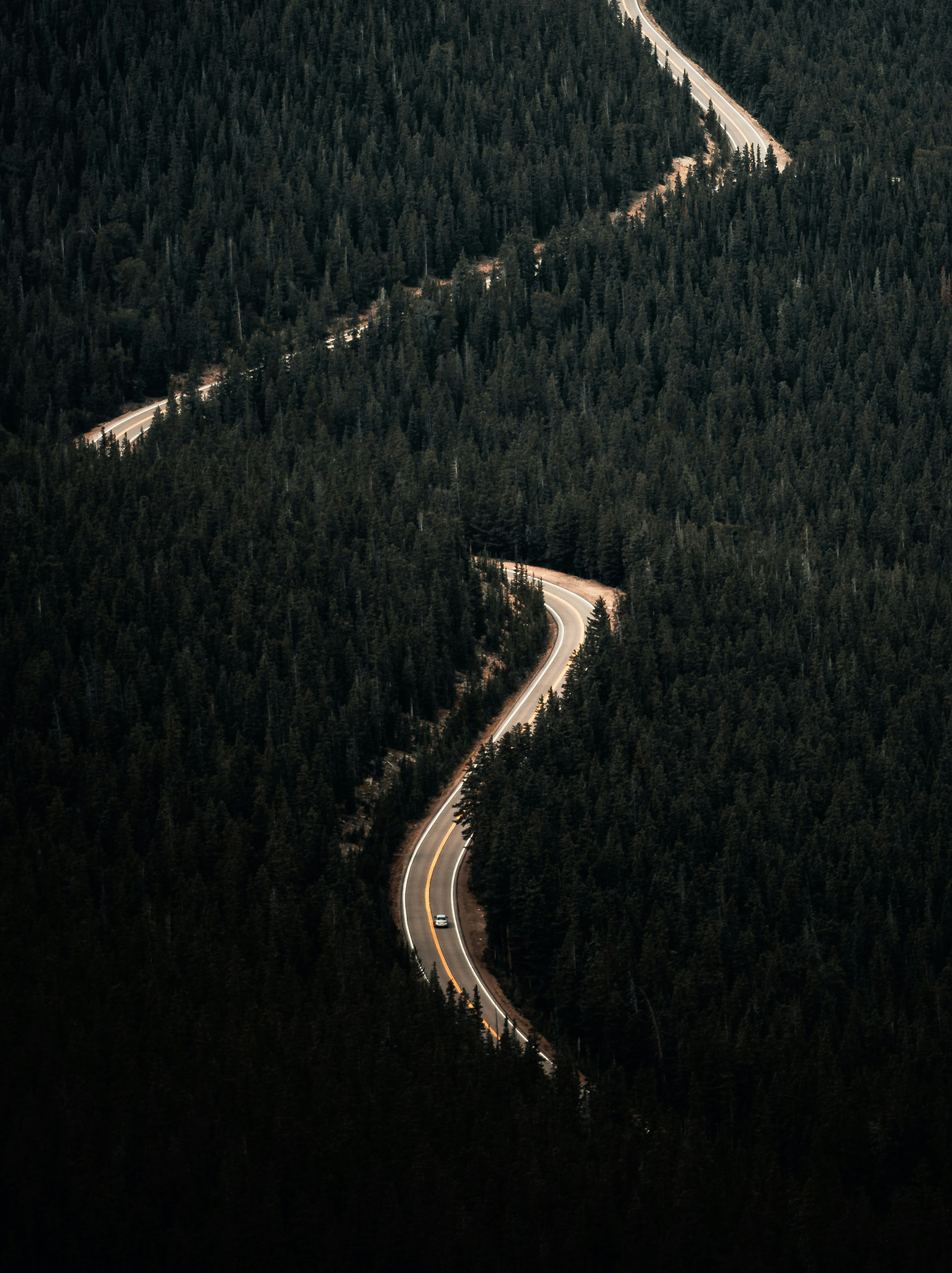 aerial view of green trees during daytime