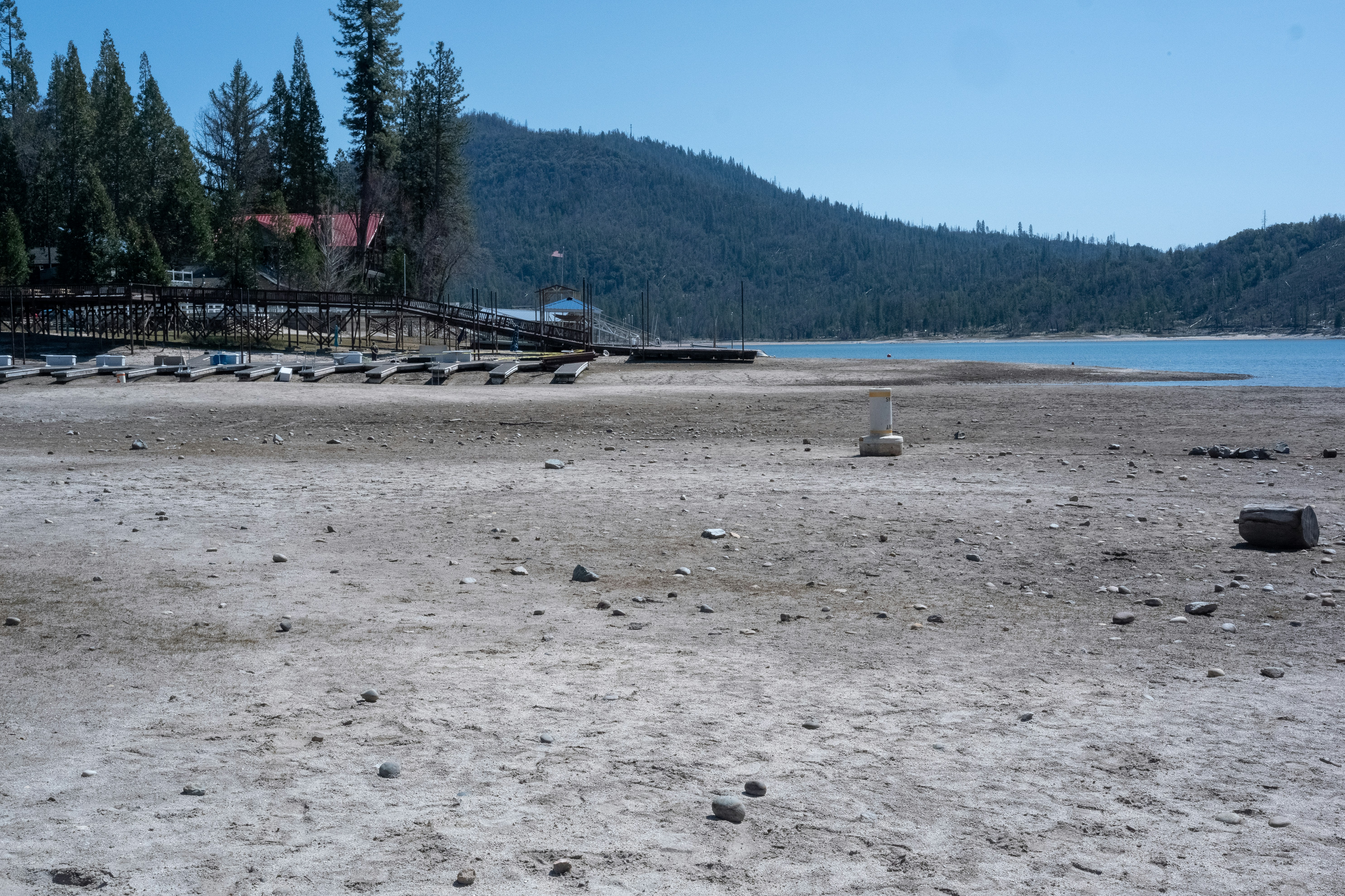 people on beach during daytime