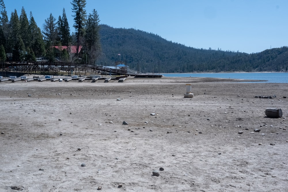 people on beach during daytime