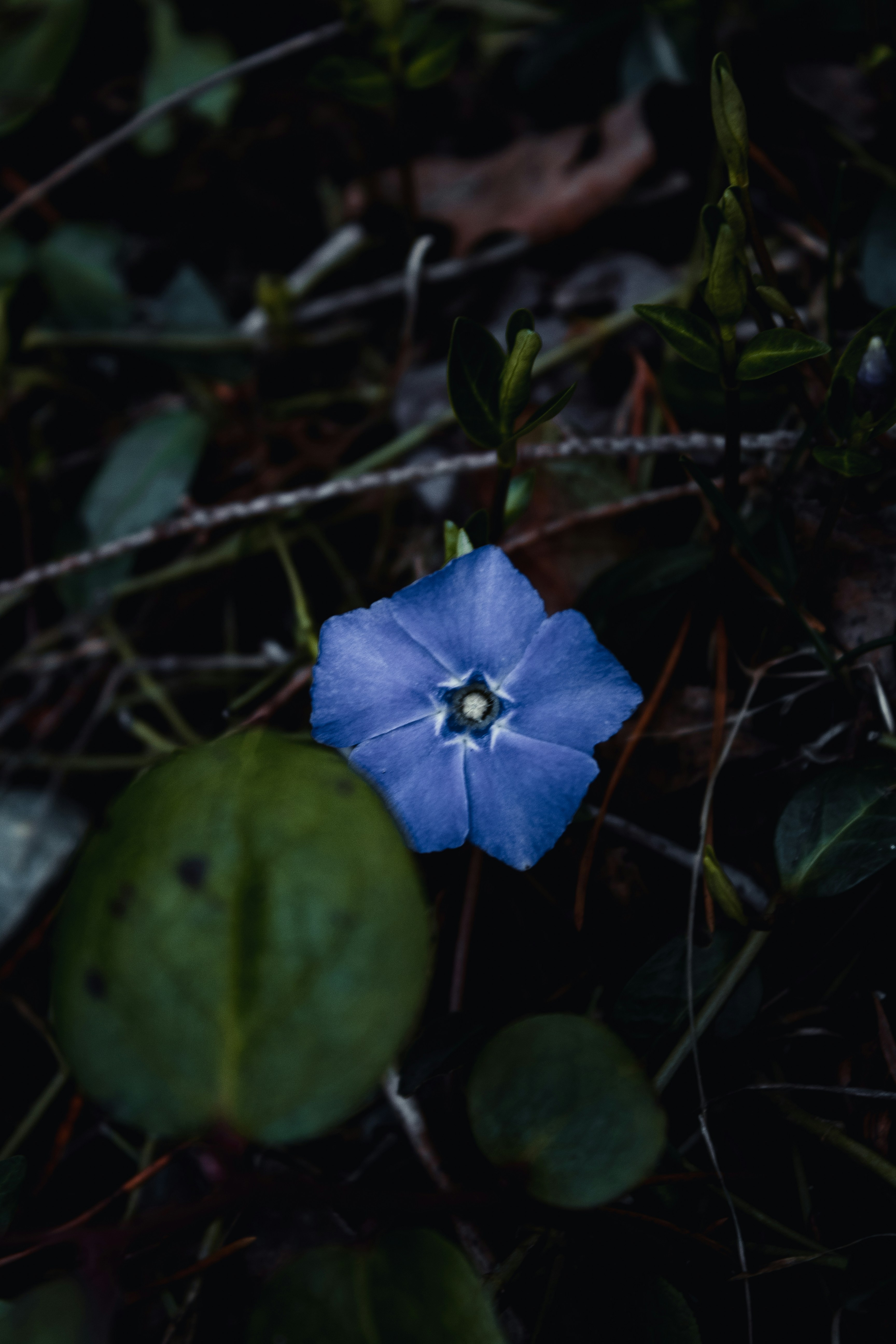 Photo by colefreeman