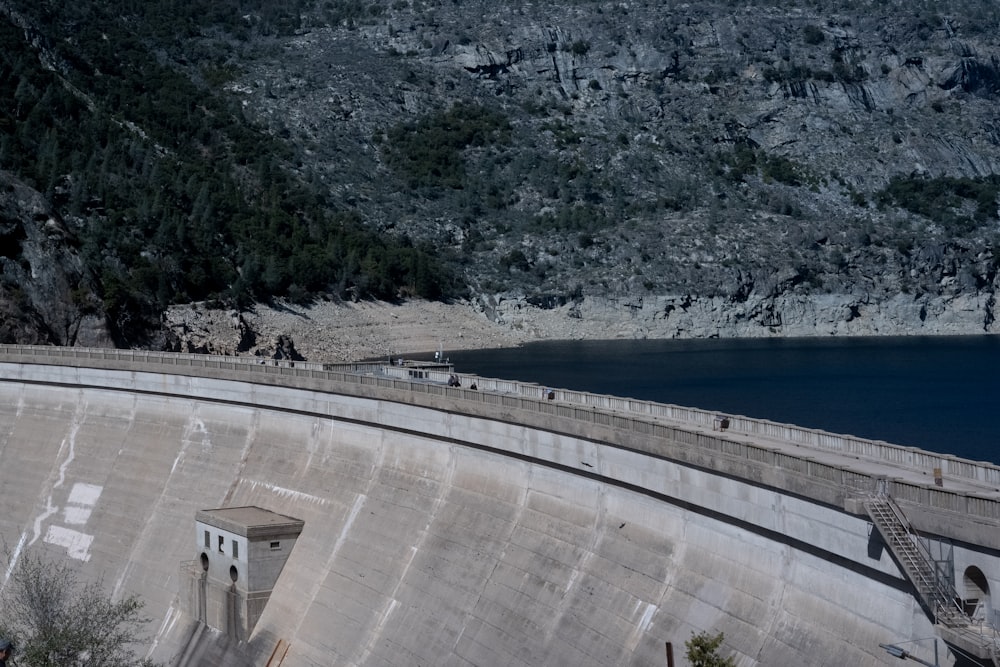 Presa de aguas blancas cerca de árboles verdes durante el día