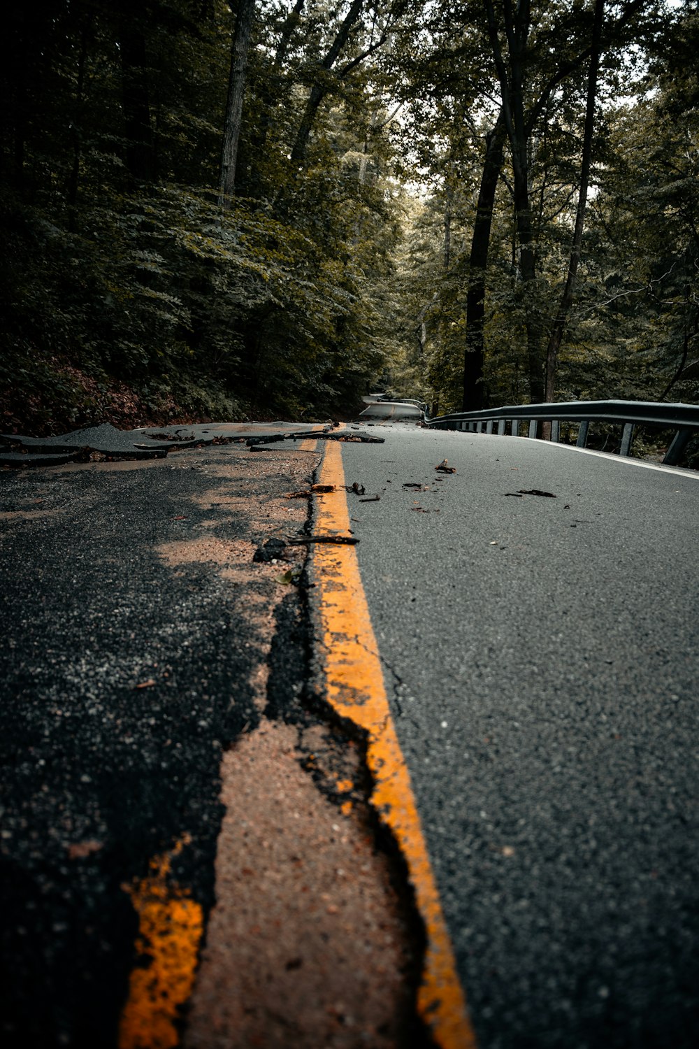 gray concrete road between green trees during daytime