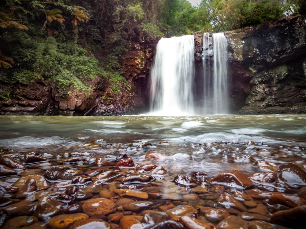 brown leaves on water falls