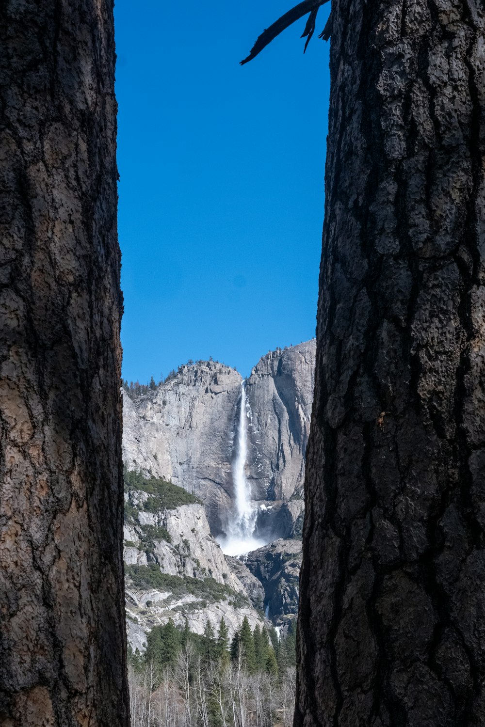 brown tree trunk near waterfalls under blue sky during daytime