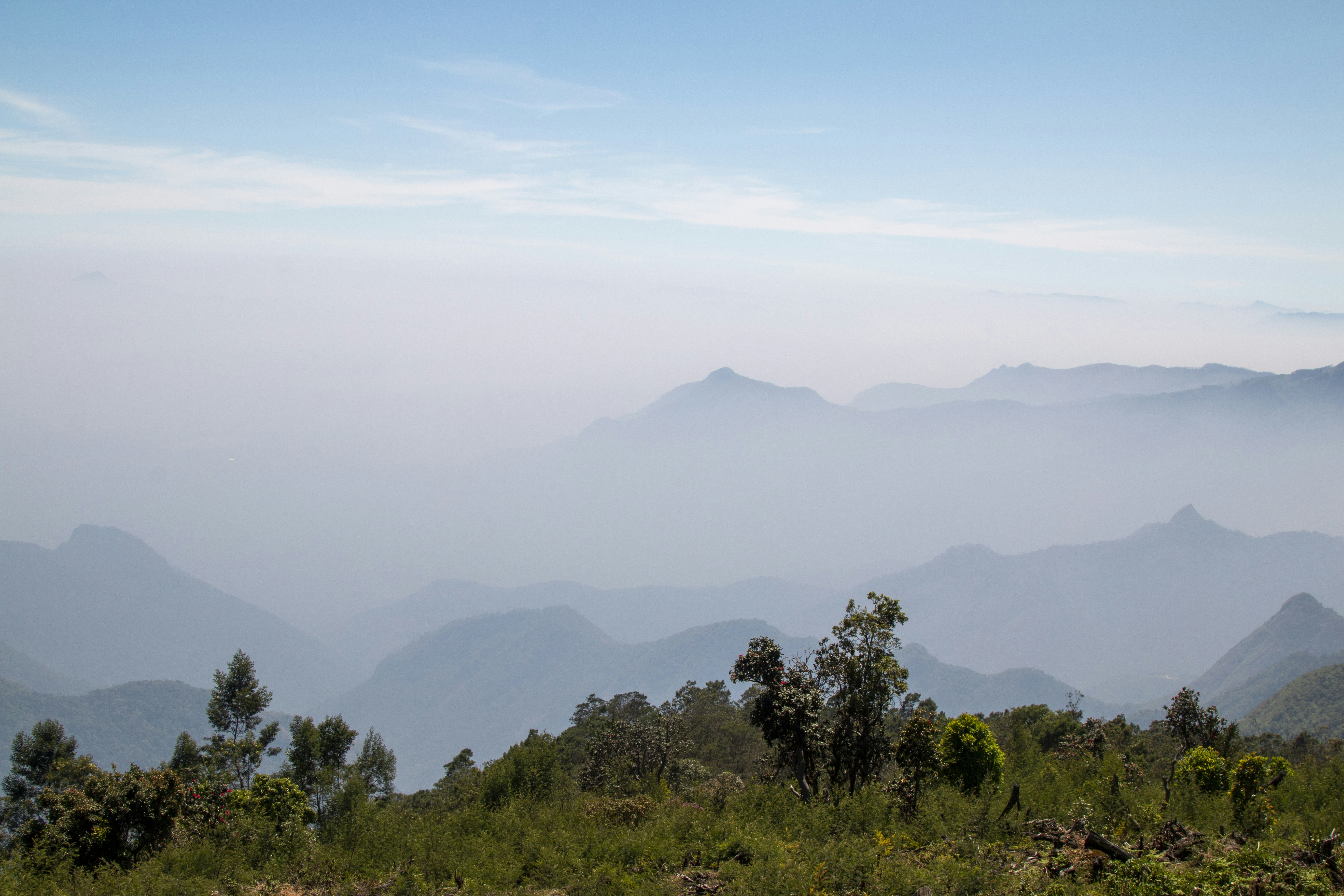 Photo by nneehhaall_13