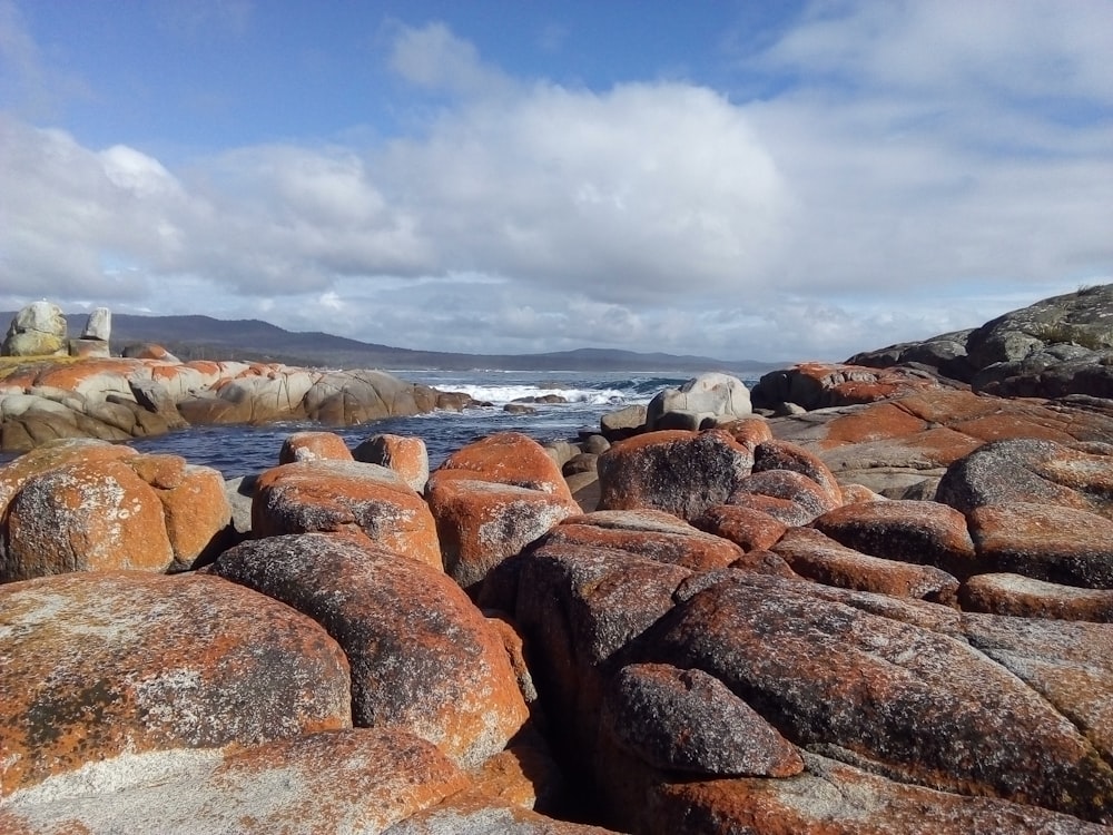brown and gray rocks near body of water under white clouds and blue sky during daytime