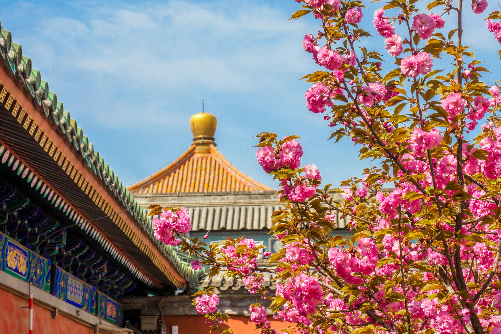 pink and white flowers near brown and white temple during daytime