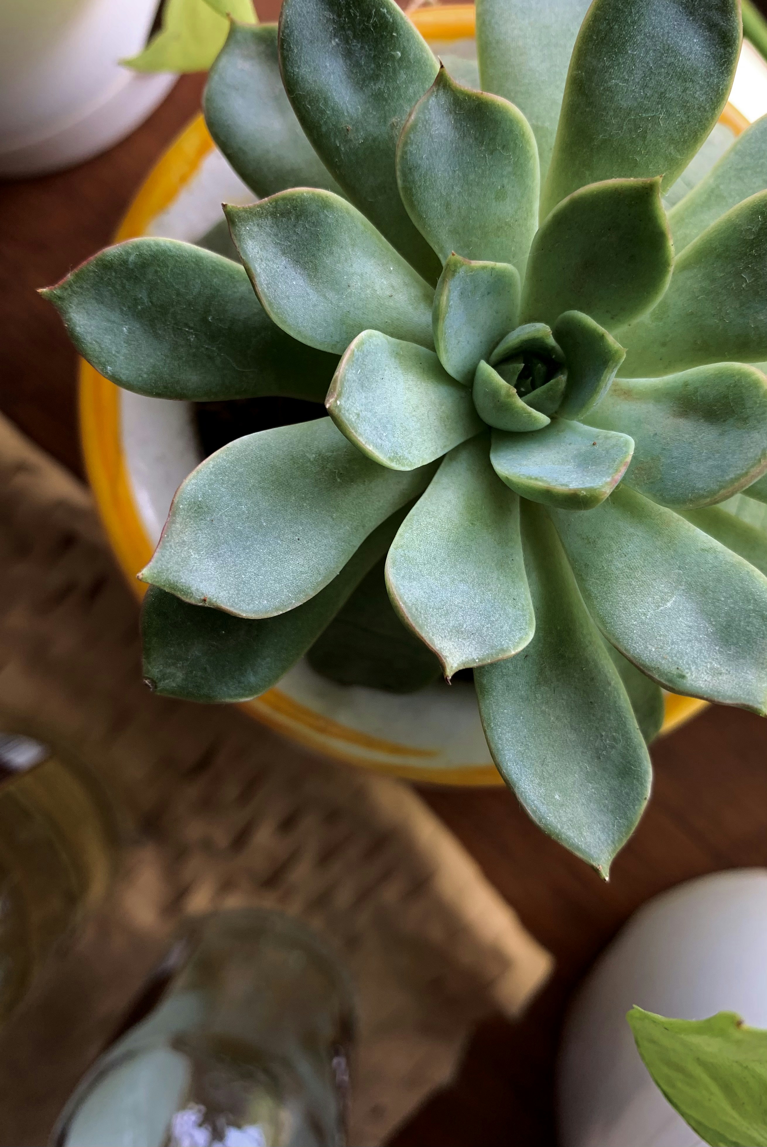 Photo by akshar_dave