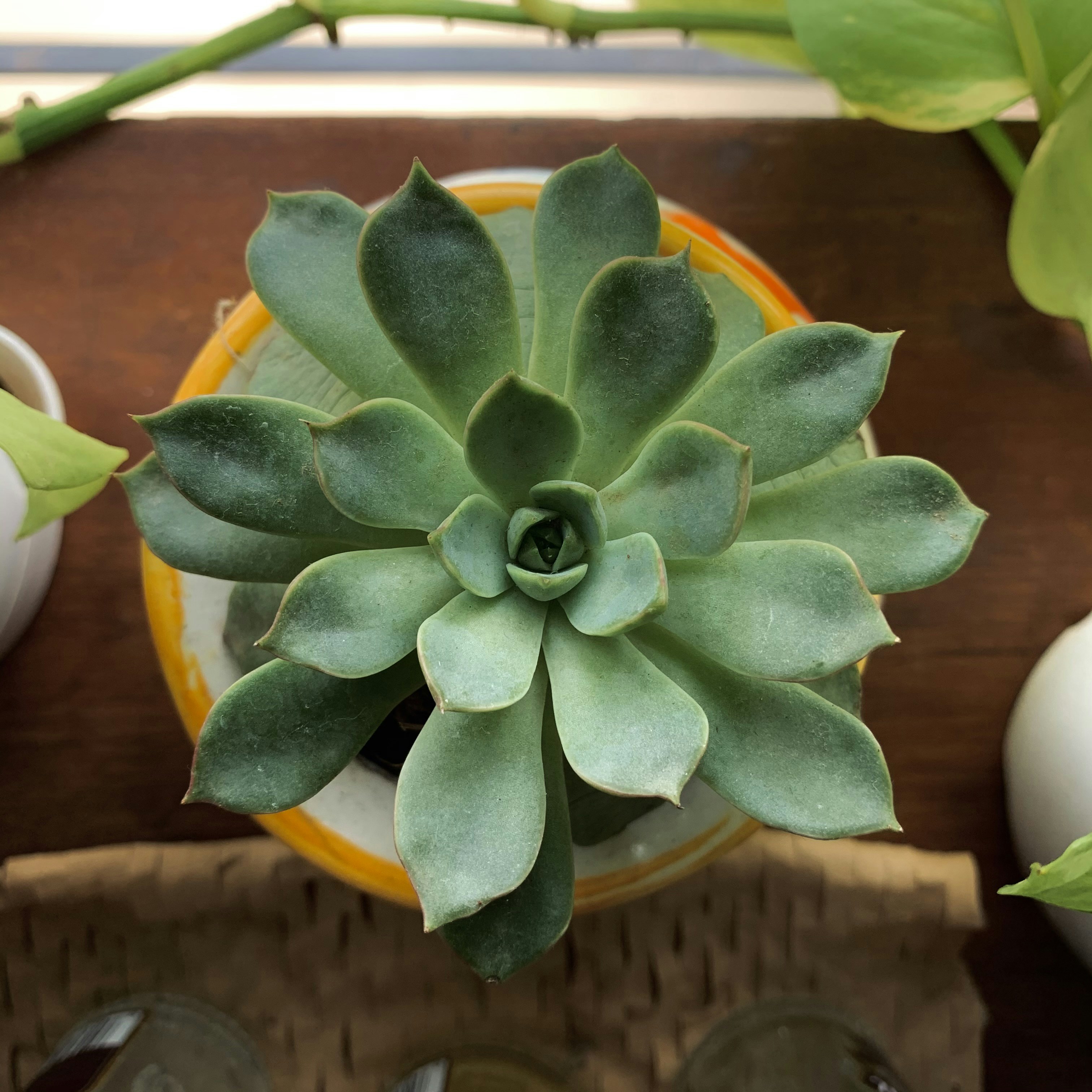 Photo by akshar_dave