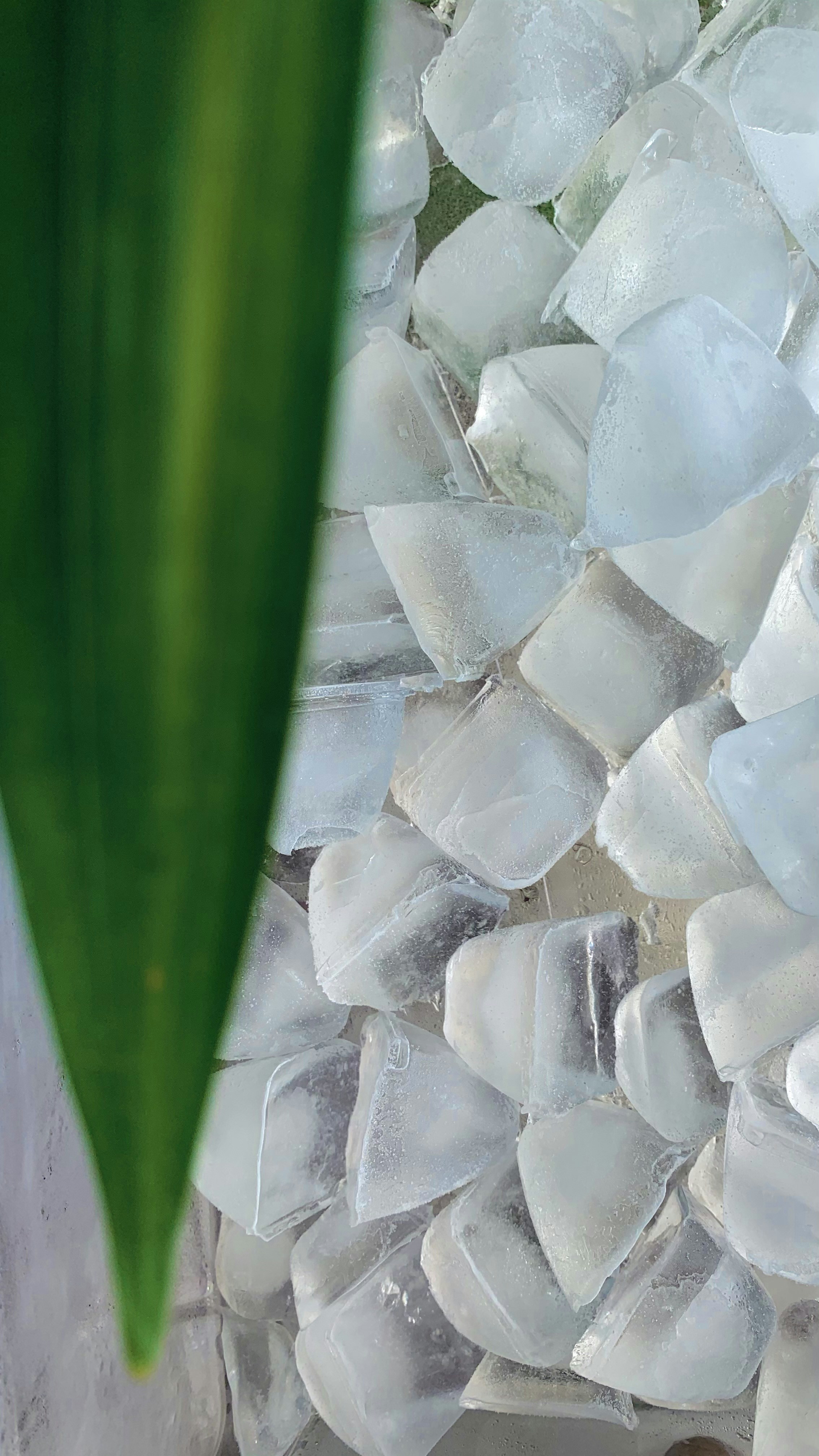 Photo by akshar_dave