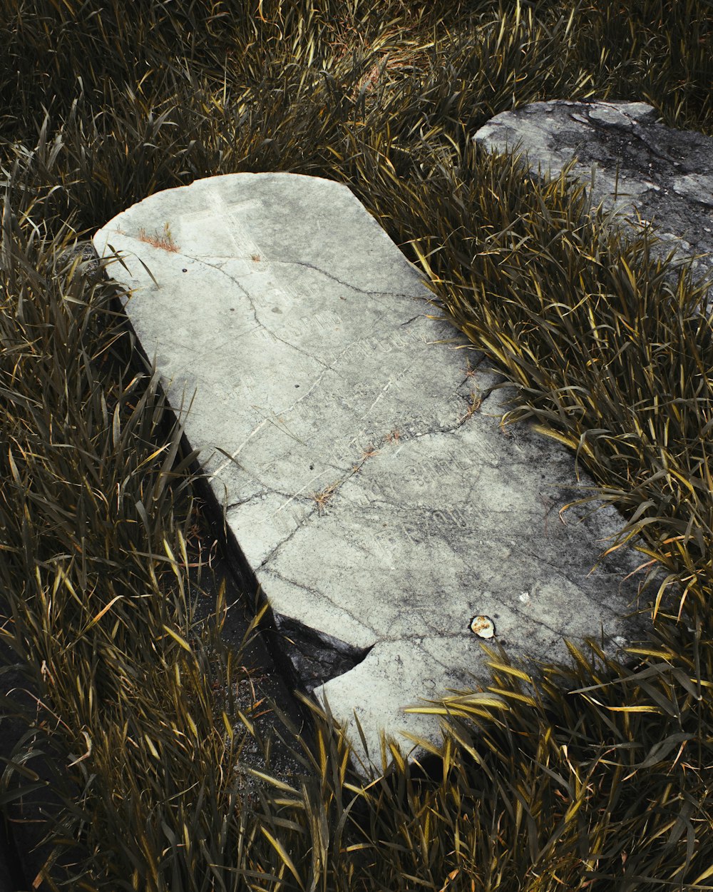 gray stone on brown grass