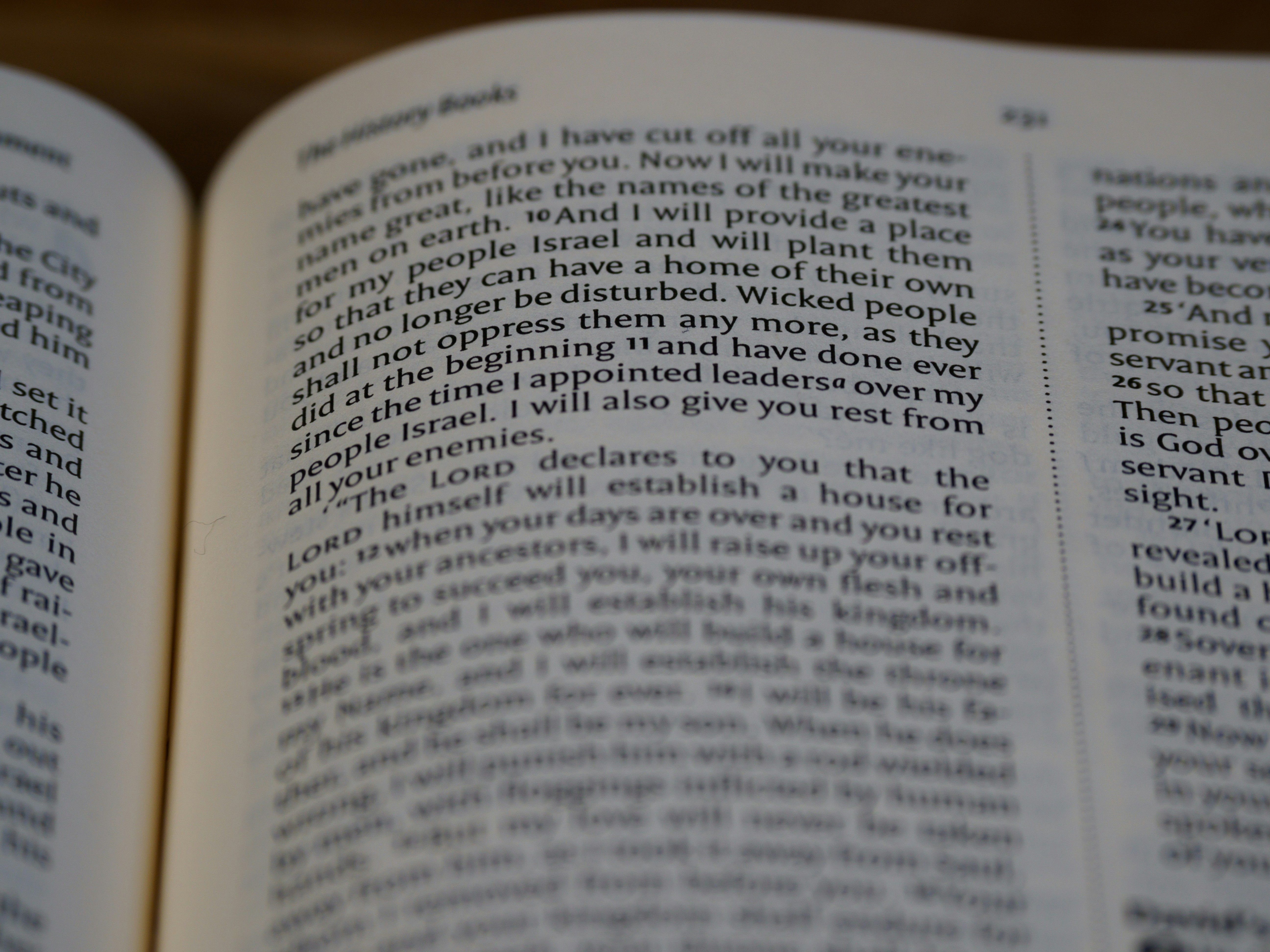 Photo by brett_jordan