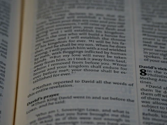 text