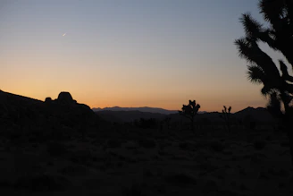 A serene desert landscape at sunset symbolizing spiritual roots and faith journey.