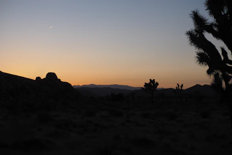 A serene desert landscape at sunset symbolizing spiritual roots and faith journey.