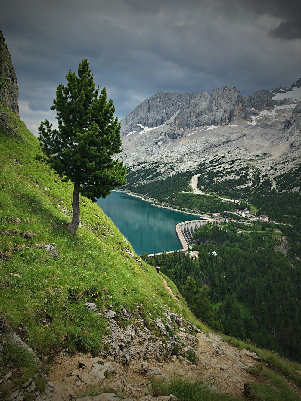 green trees near lake and mountain during daytime