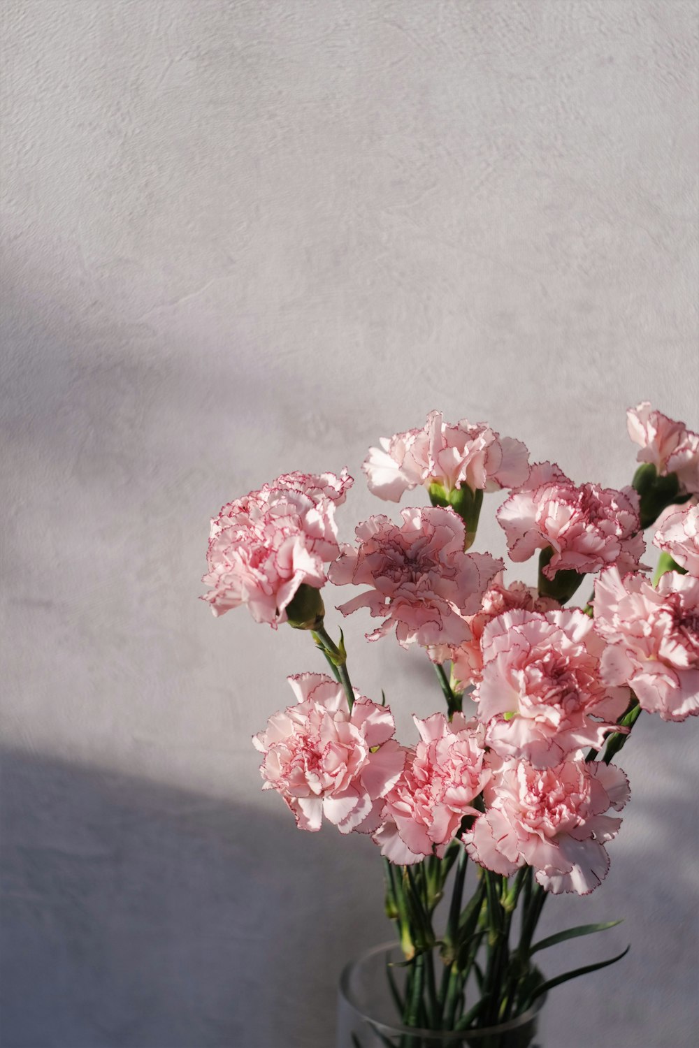 pink and white flowers on black table