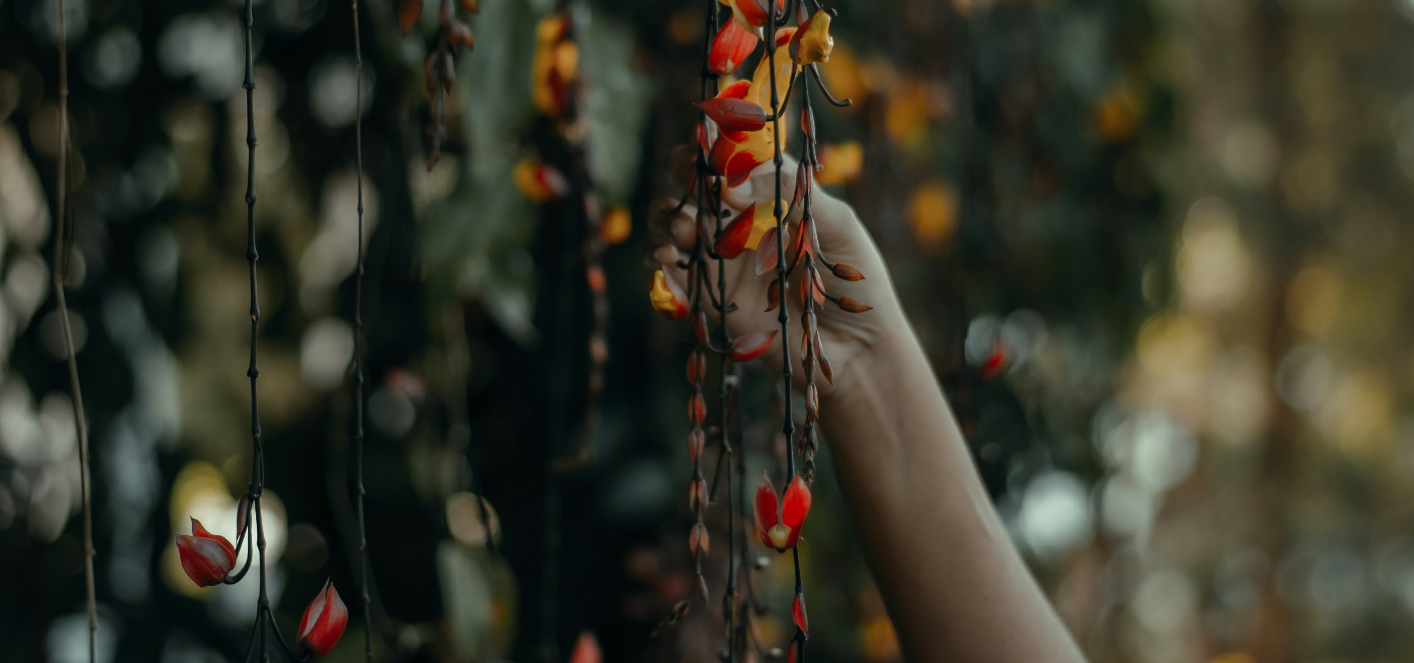 Photo by sharathsinstastories