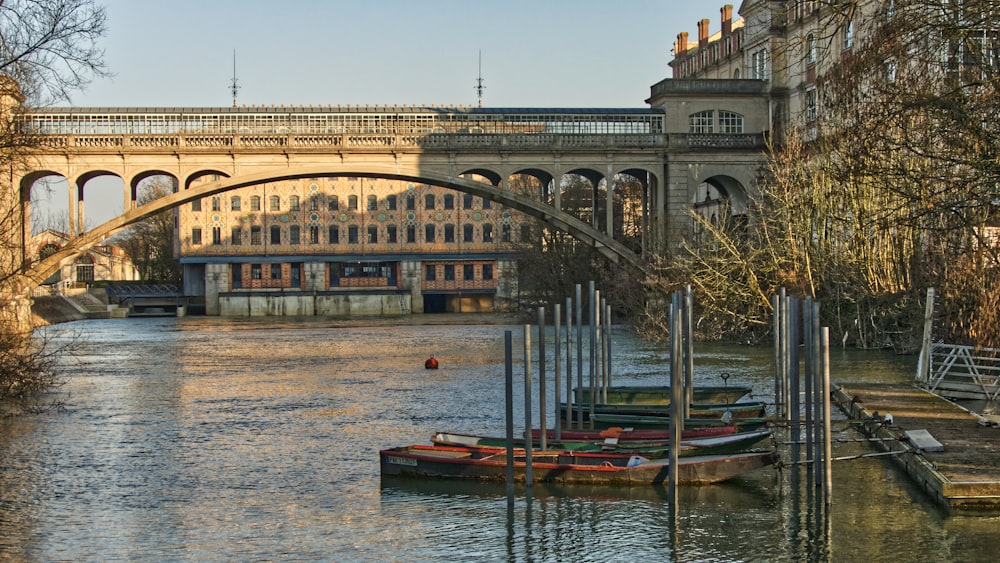 brown boat on body of water near bridge during daytime