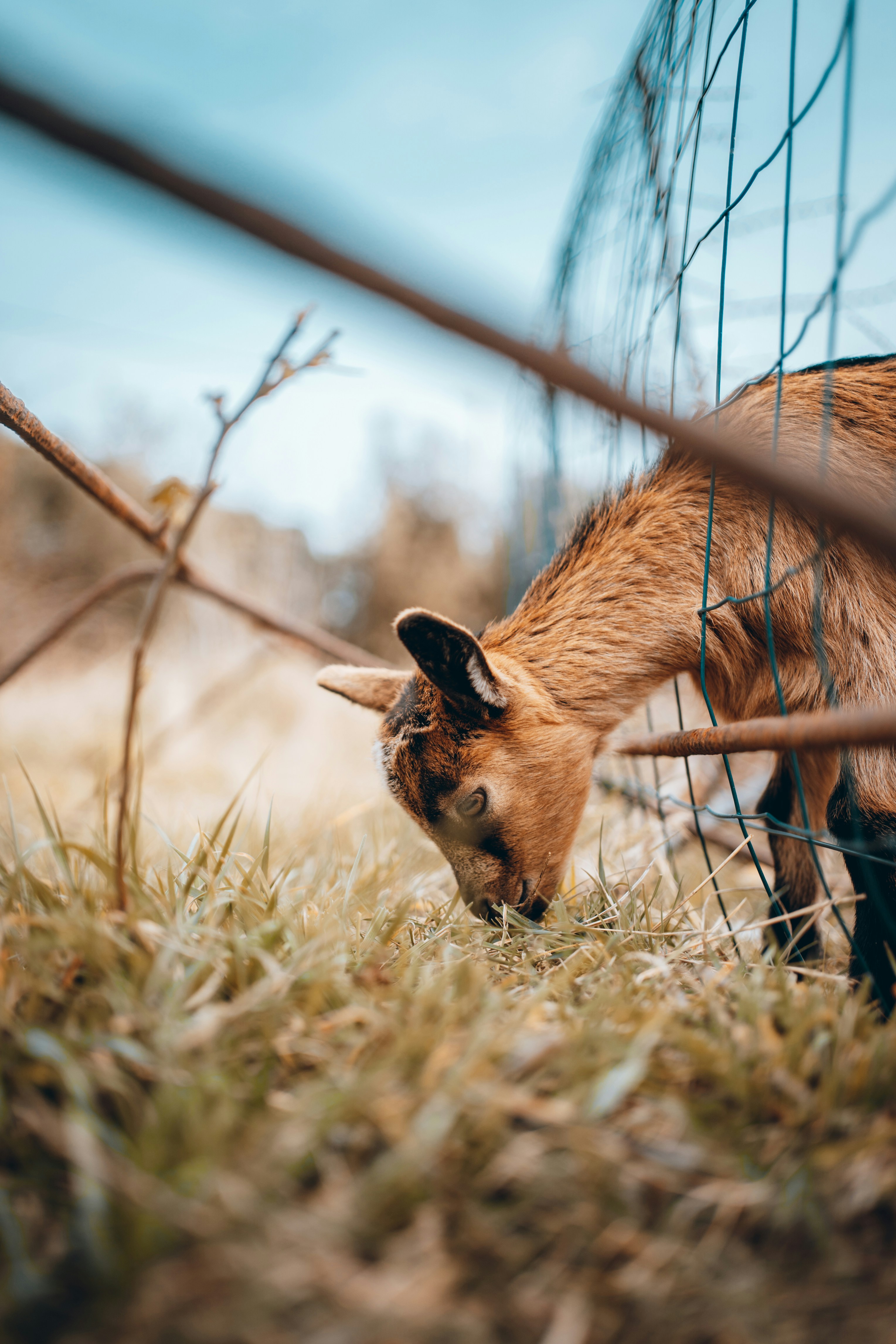 Photo by mathieuodin