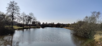 A serene landscape featuring a calm body of water reflecting trees under a clear sky.